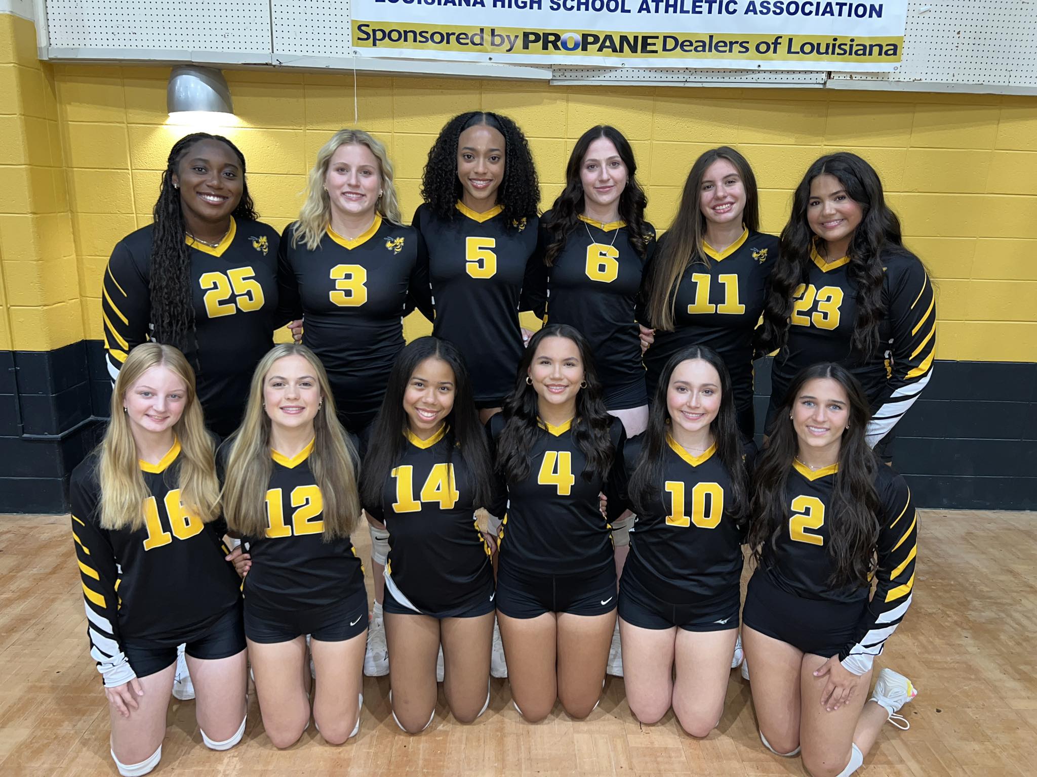 Haynes volleyball shines early